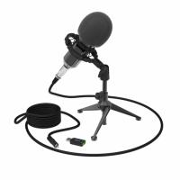 Ritmix rdm-160 Black Микрофон