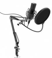 Ritmix rdm-180 Black Микрофон