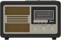 Радиоприемник Ritmix RPR-070 gold
