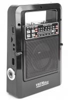 VIKEND Picnic  Радиоприемник