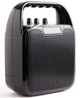 Atom KS-1100 караоке-система