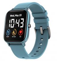 Canyon Wildberry SW-74 синий  Умные часы