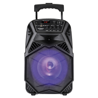 National NSM-V100  Акустическая система