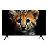 Topdevice Телевизор LCD Topdevice TDTV55ES13U_BK (